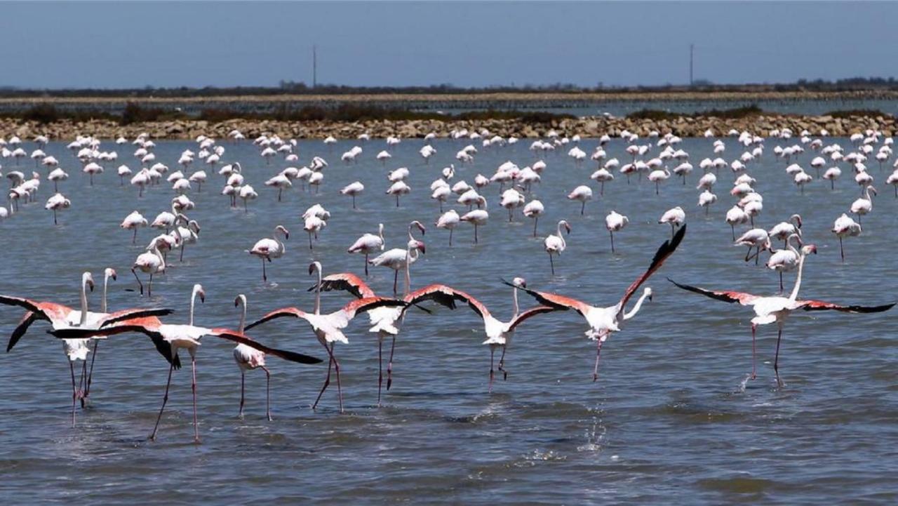 Апартаменты L'Hippocampe Сет Экстерьер фото